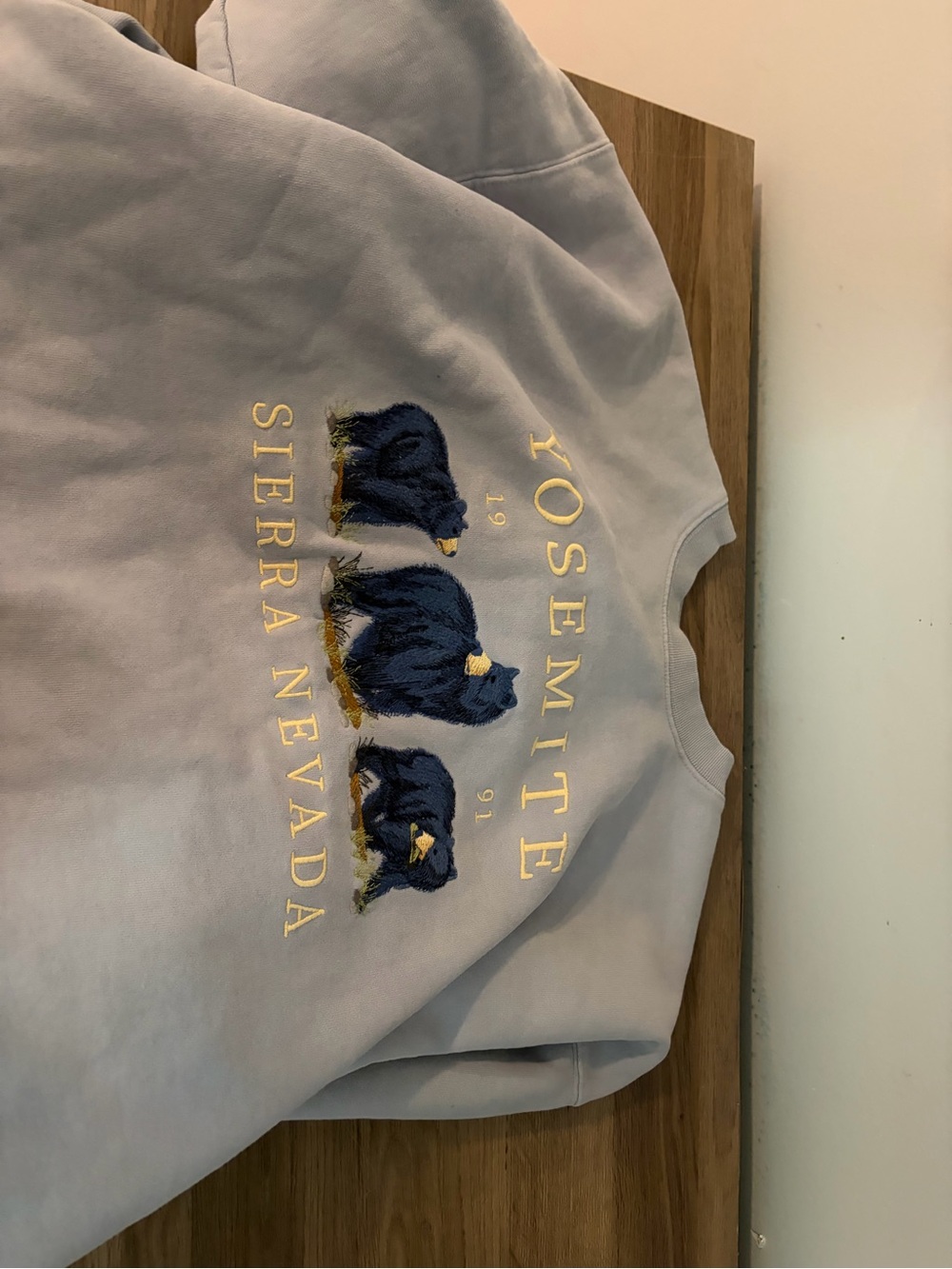 Brandy Melville Light Blue Yosemite Sierra Nevada Bear Embroidered Sweatshirt